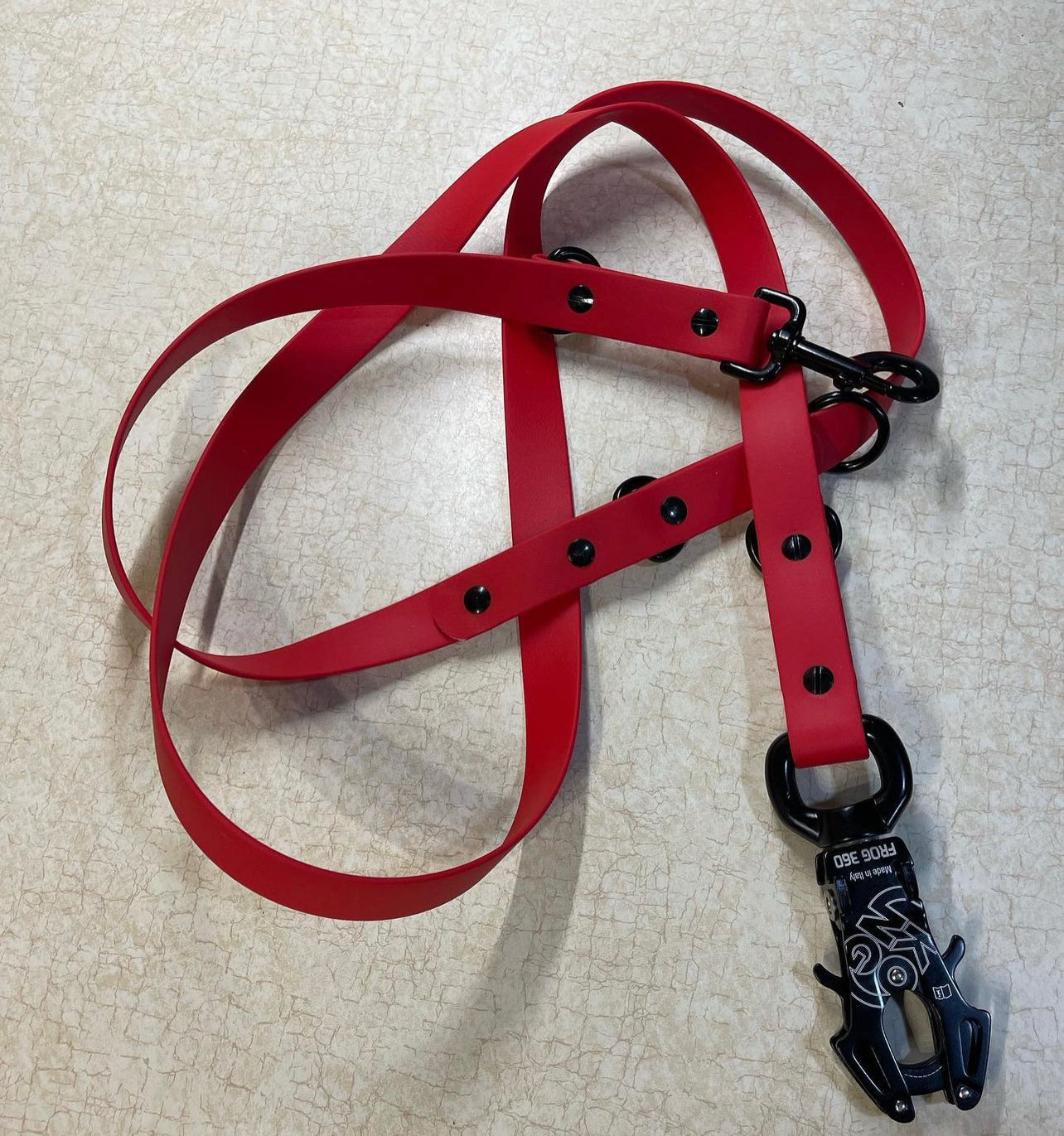 Frog 360 6’ Multipoint Leash